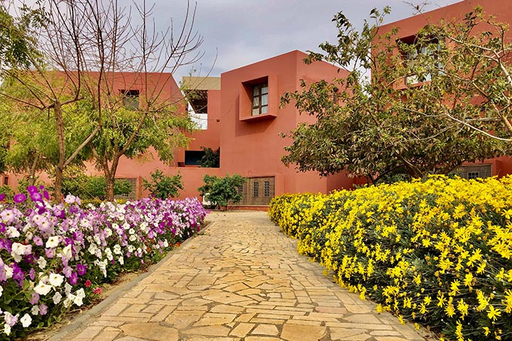 yard designs